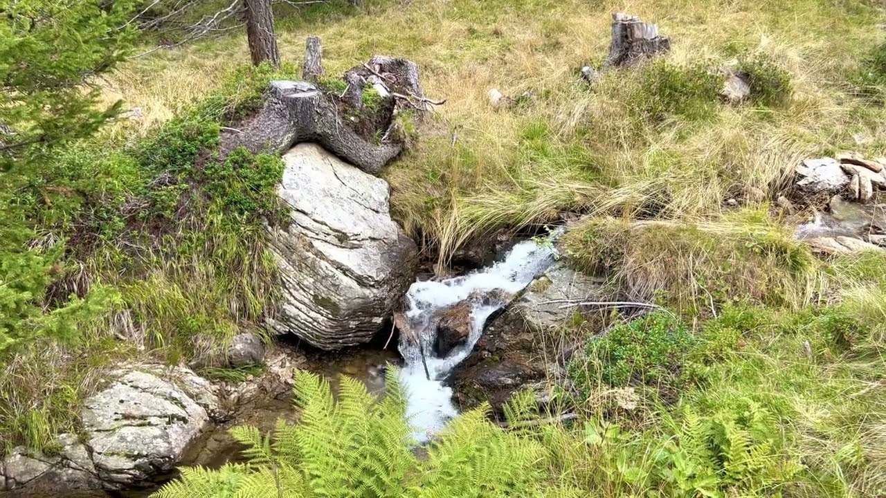 Wasserlauf