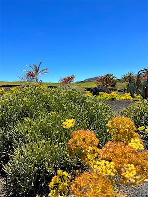 IMG_4976.jpg