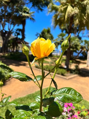 IMG_5006.jpg