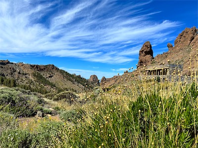 IMG_5064.jpg
