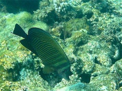 IMG_9208.jpg