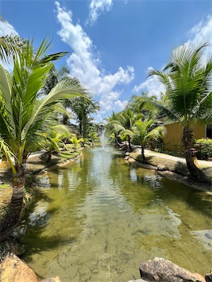 IMG_8007.jpg