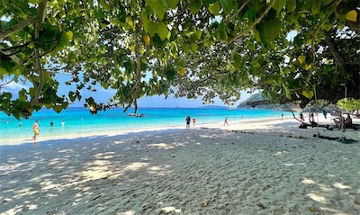 IMG_7490.jpg