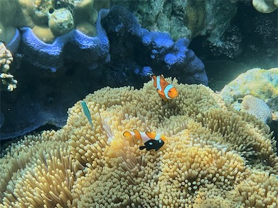 IMG_7790.jpg