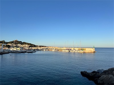 IMG_1335.jpg