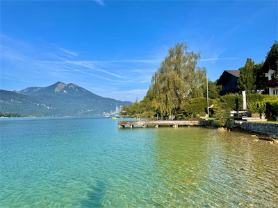 IMG_1849.jpg
