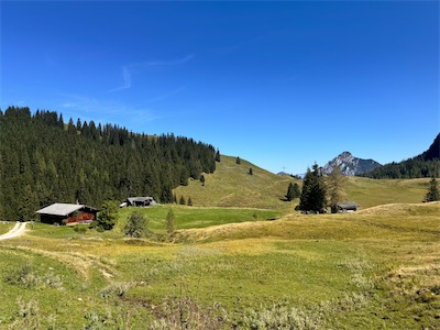IMG_2237.jpg