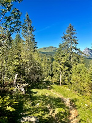 IMG_2259.jpg