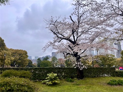 03-04-41.jpg
