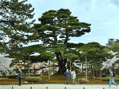 10-04-60.jpg