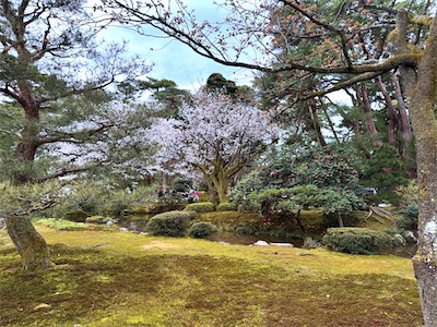 10-04-61.jpg