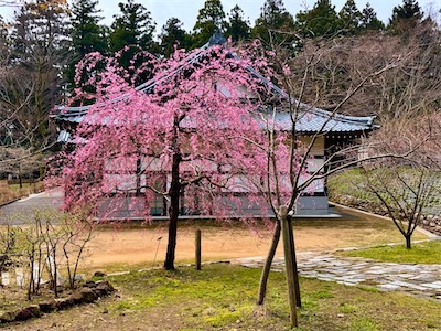 11-04-32.jpg