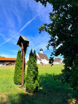 IMG_7310.jpeg