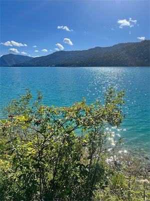 IMG_7477.jpeg