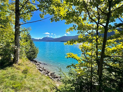 IMG_7502.jpeg