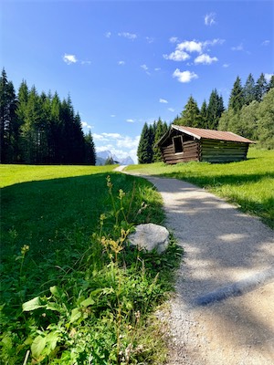 IMG_7638.jpeg