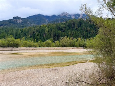 IMG_7669.jpeg