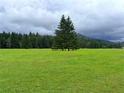 IMG_7672.jpeg