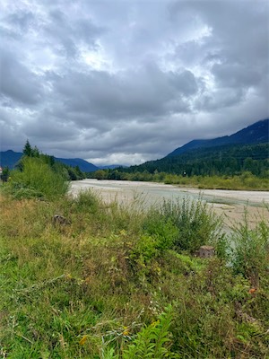 IMG_7673.jpeg