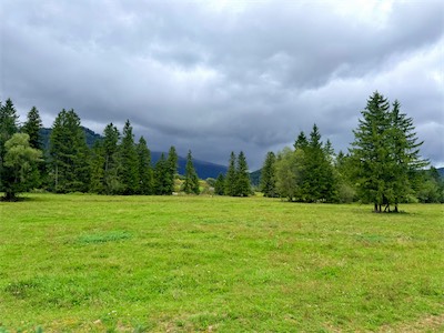 IMG_7676.jpeg