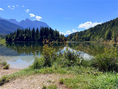 IMG_7197.jpeg