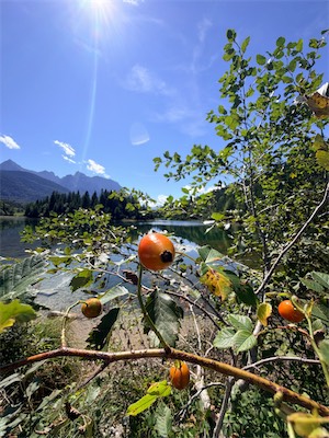 IMG_7200.jpeg