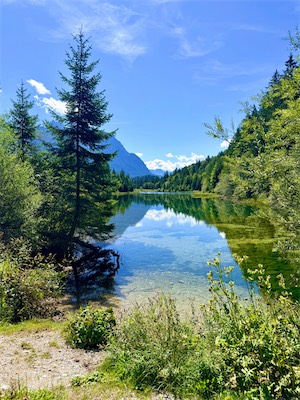IMG_7208.jpeg