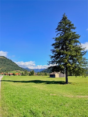 IMG_7231.jpeg