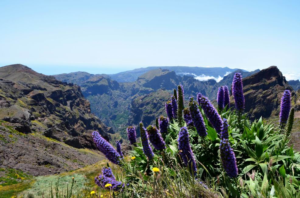 2012 Madeira.jpg